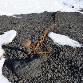 2010-11 Dog chain in the environment at Cape Evans