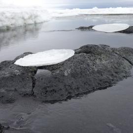 2010-11 Edge of the sea ice