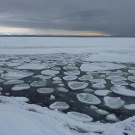 2010-11 Pancake ice at Cape Evans
