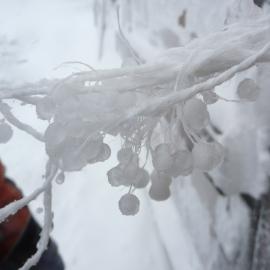 2009-10 Ice formed on rope at Cape Royds field camp