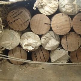 2014 Scott's 'Terra Nova' hut interior, stored test tubes, Biology area