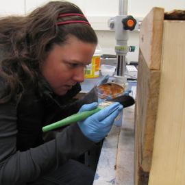AHT Conservator Jane Hamill applying wood stain