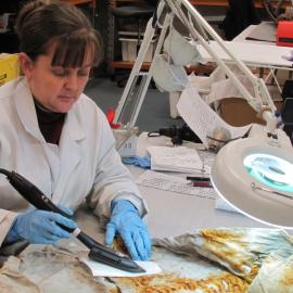 AHT Lead Conservator Sarah Clayton (002)