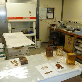 2012 Winter Conservation Laboratory 'open house', Scott Base