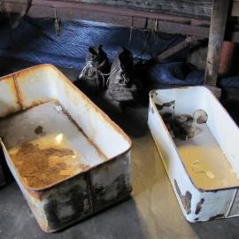 2010-11 Metal survey artefact image in the Physical Laboratory, Cape Evans (014)