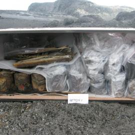 2010-11 Excavation of cache 2, crate E, Cape Royds (008)