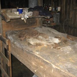 2010-11 Simpson's bunk inside Scott's 'Terra Nova' hut, Cape Evans