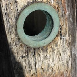 2010-11 Detail of Speights barrel bung hole, Cape Royds