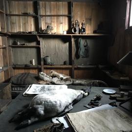 2015-16 Scott's 'Terra Nova' hut inspection, interior (009)