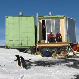 2010-11 Two Adelie penguins at the AHT field camp