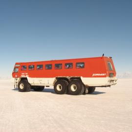 2010-11 'Ivan' the Terra Bus