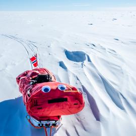 Marthe Brendefur's sled during the South Pole Expedition