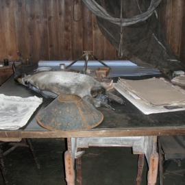 Table of artefacts by Scott's cubicle, Cape Evans