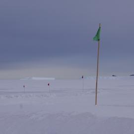2018-19 Flags in the sea ice at Cape Evans