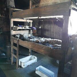 2018-19 Wright and Simpson's bunk inside Scott's 'Terra Nova' hut, Cape Evans