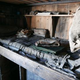 2018-19 Day's bunk inside Scott's 'Terra Nova' hut, Cape Evans