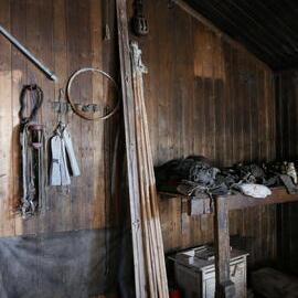 2018-19 Bamboo tent poles inside Scott's 'Terra Nova' hut, Cape Evans