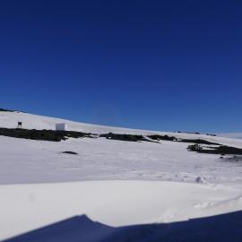2018-19 Environs on the slopes of Wind Vane Hill, Cape Evans