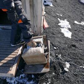 2018-19 Using the shoe brush outside Scott's 'Terra Nova' hut, Cape Evans