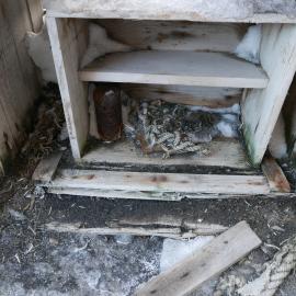 2018-19 Latrine outside Shackleton's 'Nimrod' hut at Cape Royds