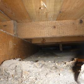 View under floor, Scott's 'Discovery' hut 