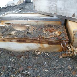 Southern Food Cache (005)