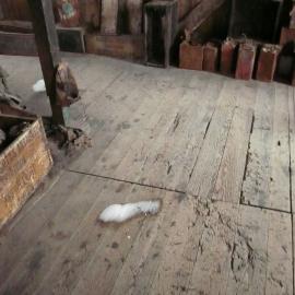 Snow ingress, Scott's 'Discovery' hut 