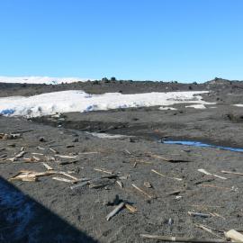 2013-14 Artefacts scattered around Scott's 'Terra Nova' hut, Cape Evans (005)