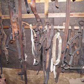 2012-13 Shackleton's 'Nimrod' hut inspection, interior (002)