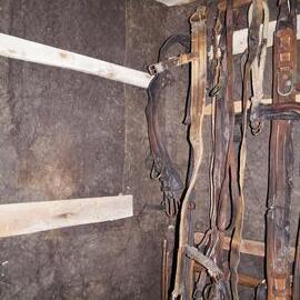 2012-13 Shackleton's 'Nimrod' hut inspection, interior (005)