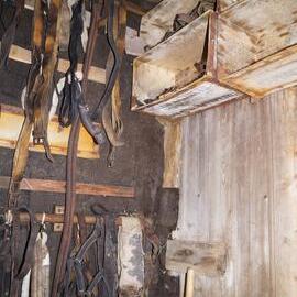 2012-13 Shackleton's 'Nimrod' hut inspection, interior (007)