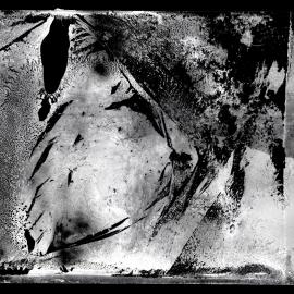 Ross Sea Party negatives (004)