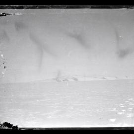 Ross Sea Party negatives (017)