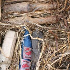 Venesta case contents (001)