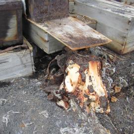 Southern Food cache (023)