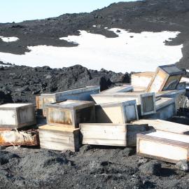 Southern Food cache (027)