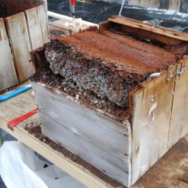 2007-08 Box undergoing repairs, Cape Royds (023)