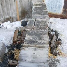East stables wall, boxes partially removed