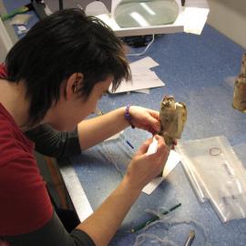 AHT Conservator Lizzie Meek treating a bottle of Savoy Sauce