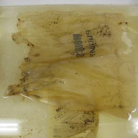 Organic material from packaging for plums (004)