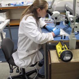AHT Conservator Susanne Grieve inspecting artefact