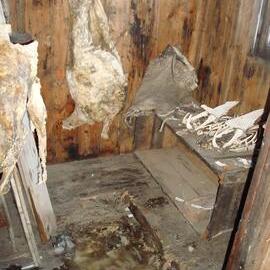 2008 Mutton carcase with Emperor penguin skins and skeletons, store room