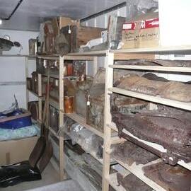 Artefacts stored in container, Scott Base (009)