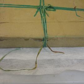 Aurora Australis ream of paper (044)