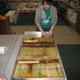 AHT Conservator Lizzie Meek working on Aurora Australis paper