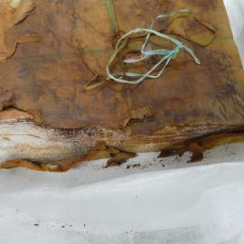 Aurora Australis ream of paper (057)