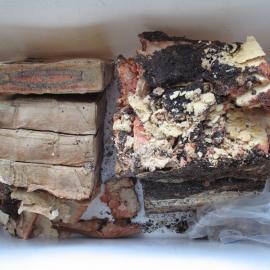 Sunlight' soap conservation 