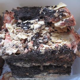 Sunlight' soap conservation (001)