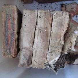 Sunlight' soap conservation (002)