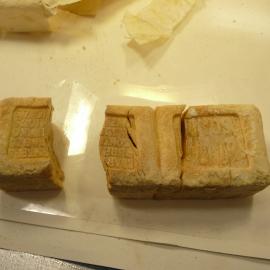 Sunlight' soap conservation (019)